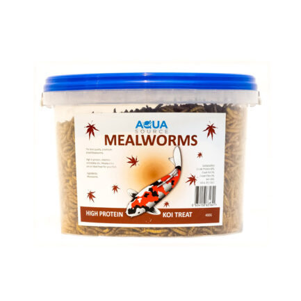 Mealworms